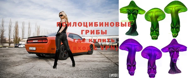 дурь Волоколамск